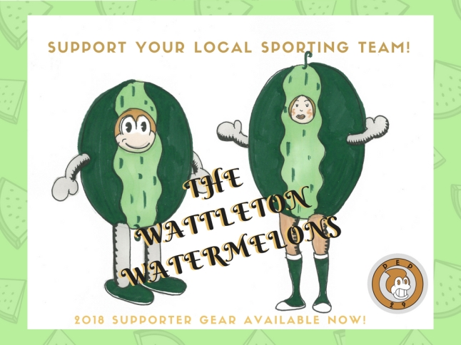 SUPPORT YOUR LOCAL SPORTING TEAM!